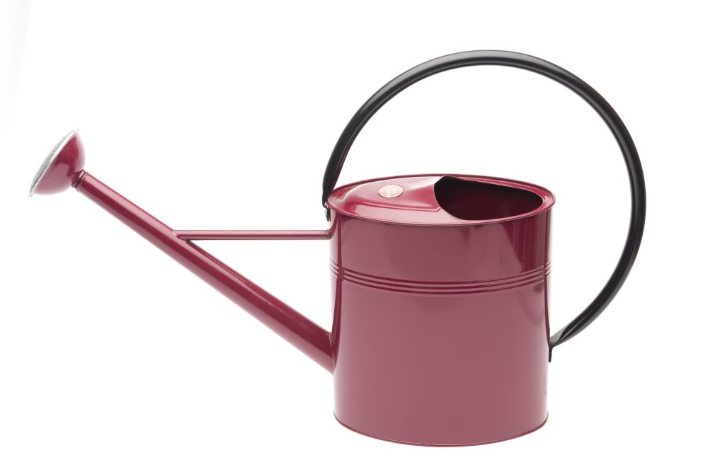 Burgundy Metal Watering Can 10L