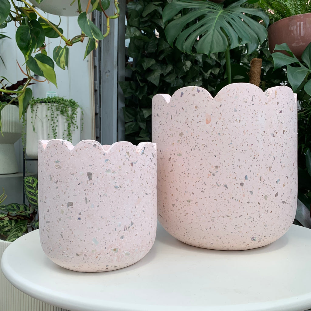 Clover Planter Pot