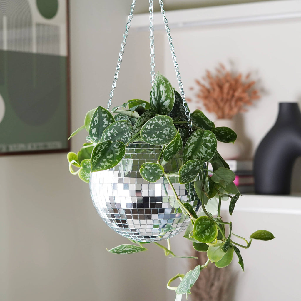 Disco Ball Hanging Planter 8in