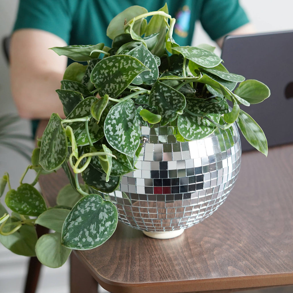 Disco Ball Hanging Planter 8in