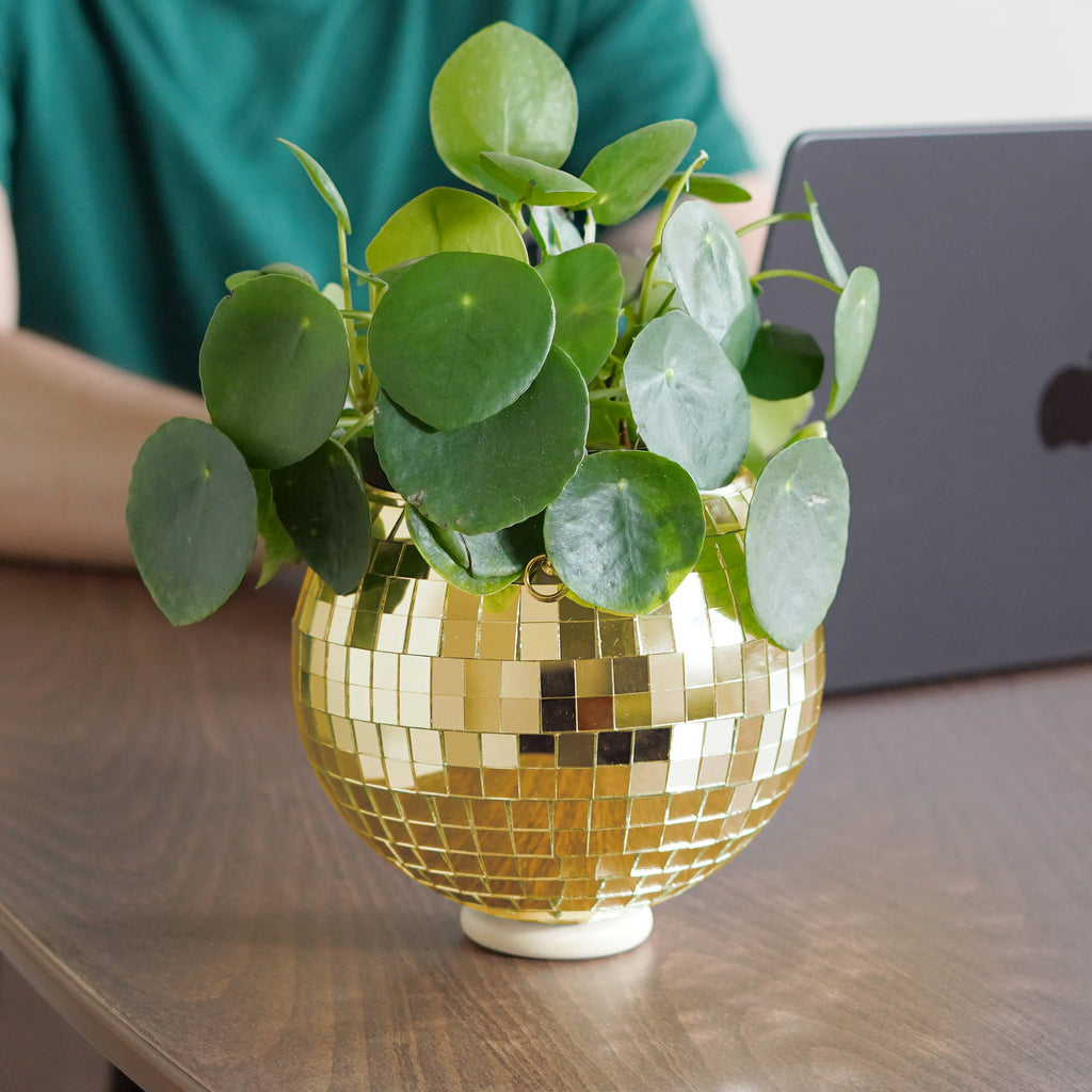 Disco Ball Hanging Planter - Gold 6in