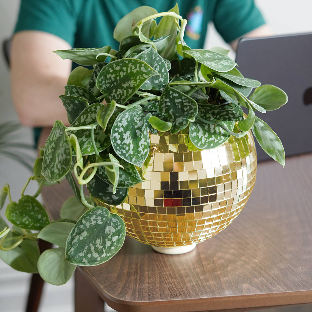 Disco Ball Hanging Planter - Gold 8in