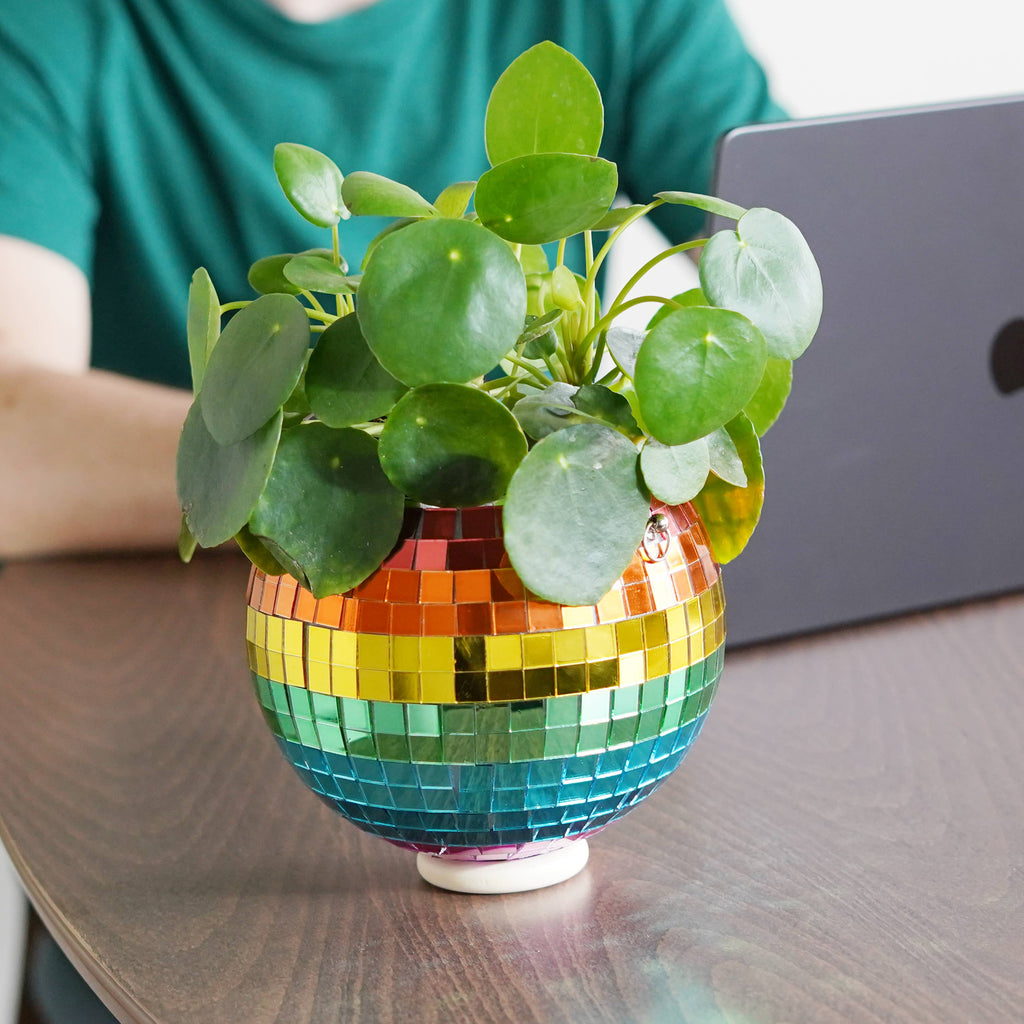 Disco Ball Hanging Planter - Rainbow 6in