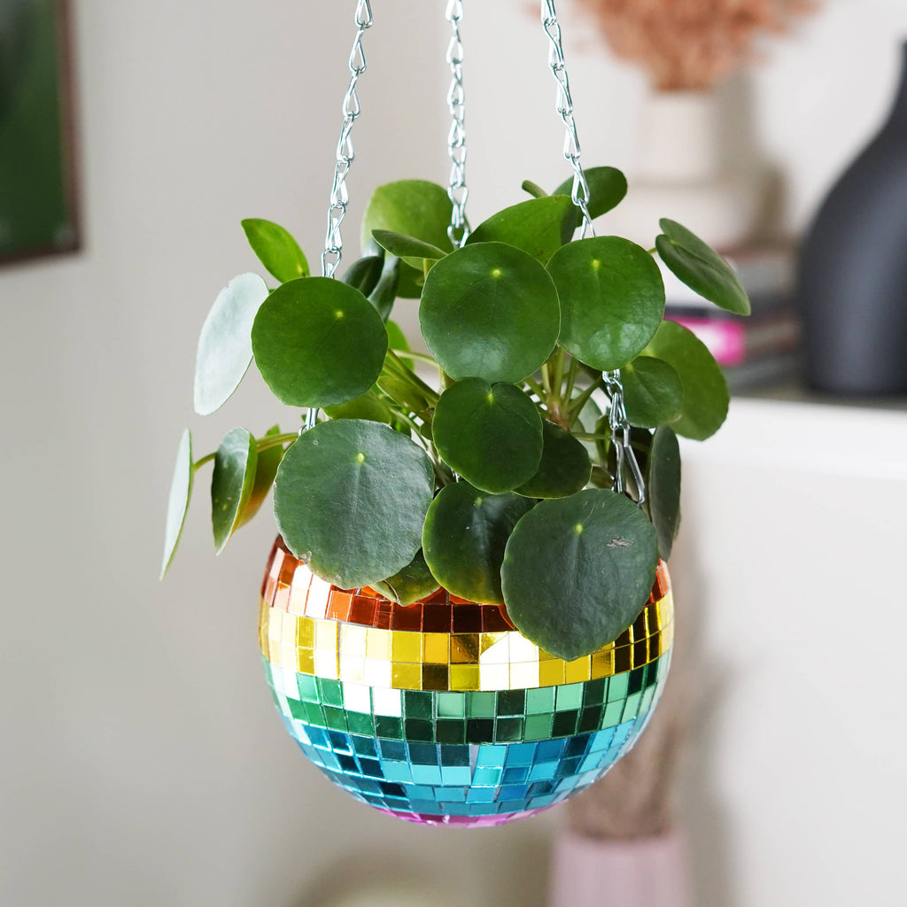 Disco Ball Hanging Planter - Rainbow 6in