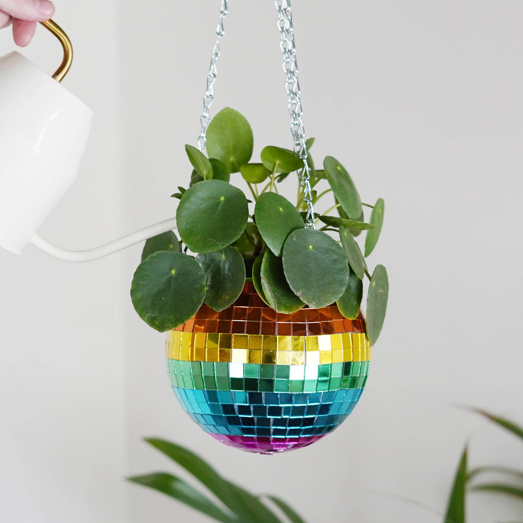 Disco Ball Hanging Planter - Rainbow 6in