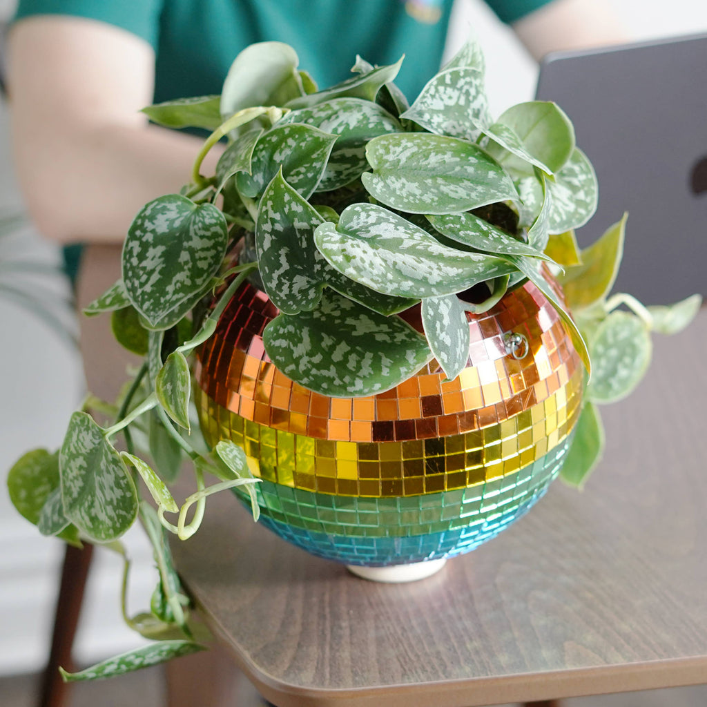 Disco Ball Hanging Planter - Rainbow 8in