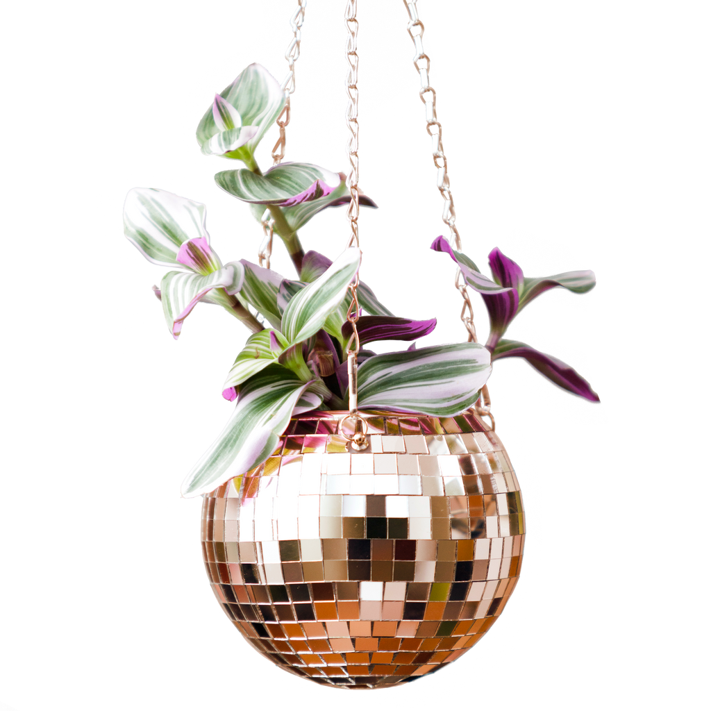 Disco Ball Hanging Planter - Rose Gold 6in