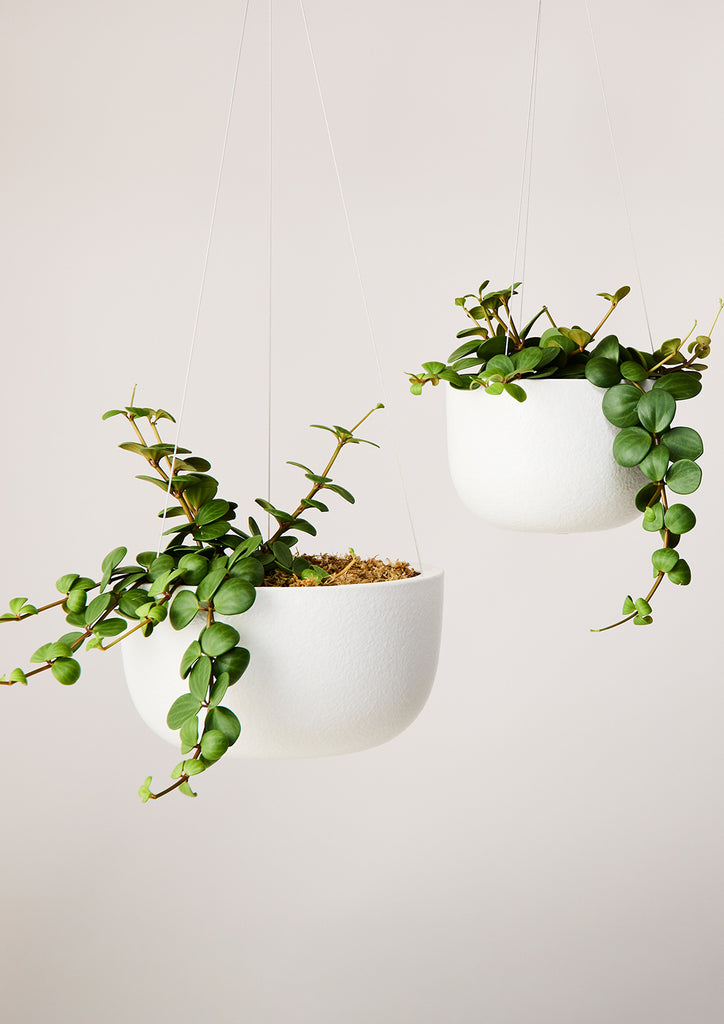 Glazed Earth Hanging Planter White Boucle