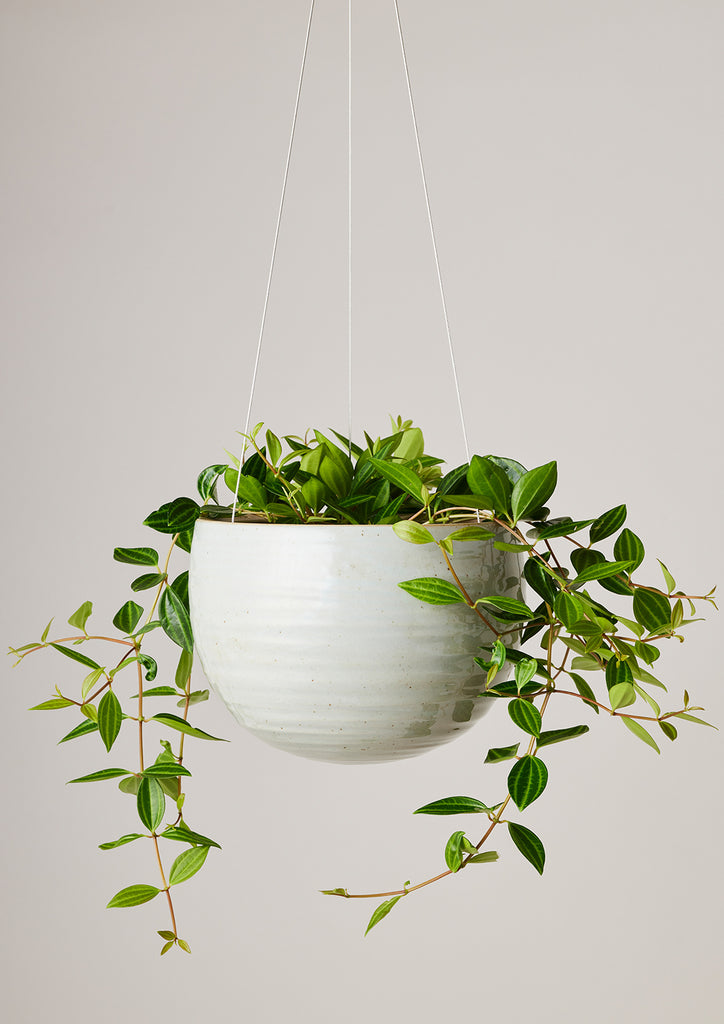 Hanging Spherical Planter Grey Crackle