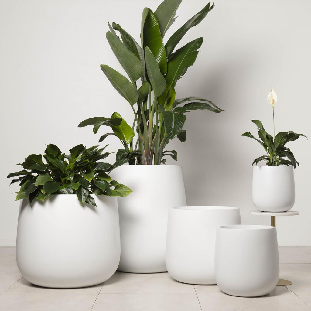 NEW Lightweight Indoor Bung Tub Planter Pot in Matt White