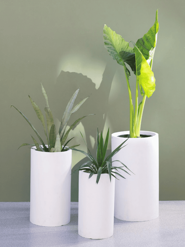 Cylinder Pots White - Large