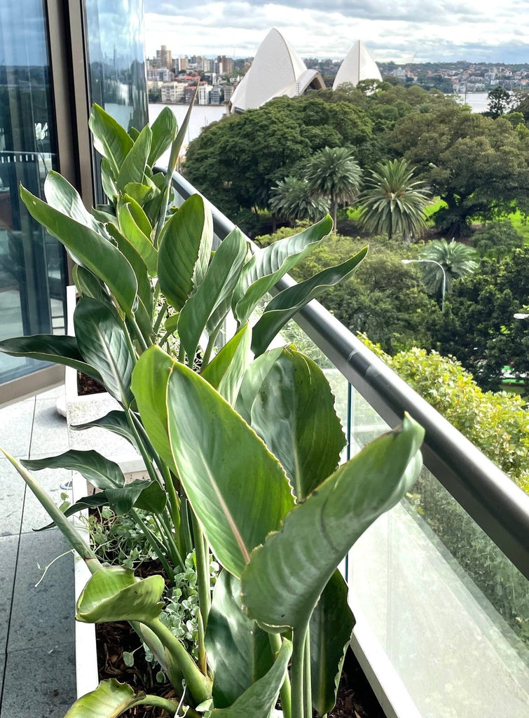 Lightweight Balcony Troughs